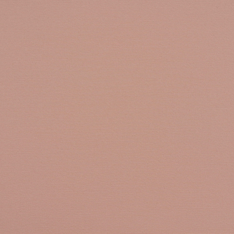 TSSI-2098 rose